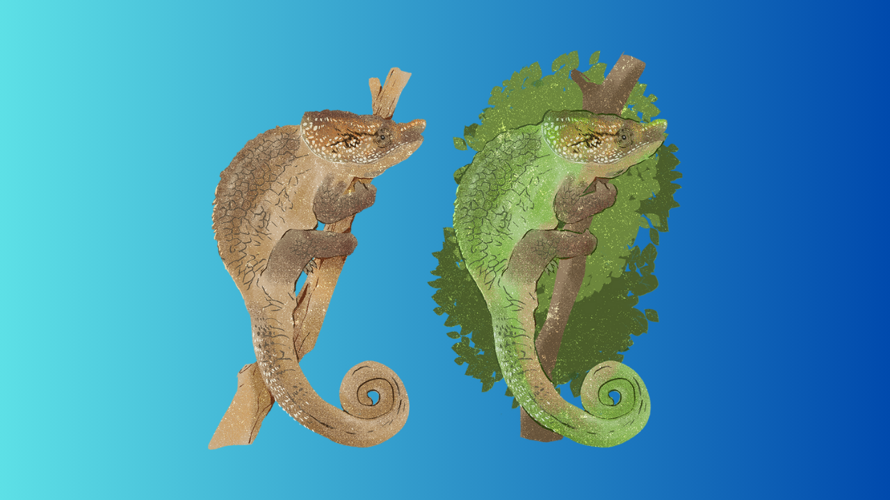 Thumbnail for Something I’ve Been Thinking About: How AE Builds Its Design Technology Systems